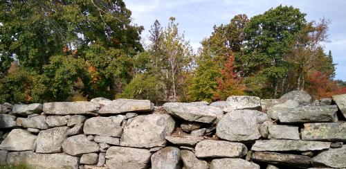 Stone Wall at Museum Complex courtesy of Susannah Carey